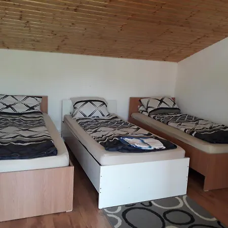 Casa Bia Holiday home Sarbi (Hunedoara)